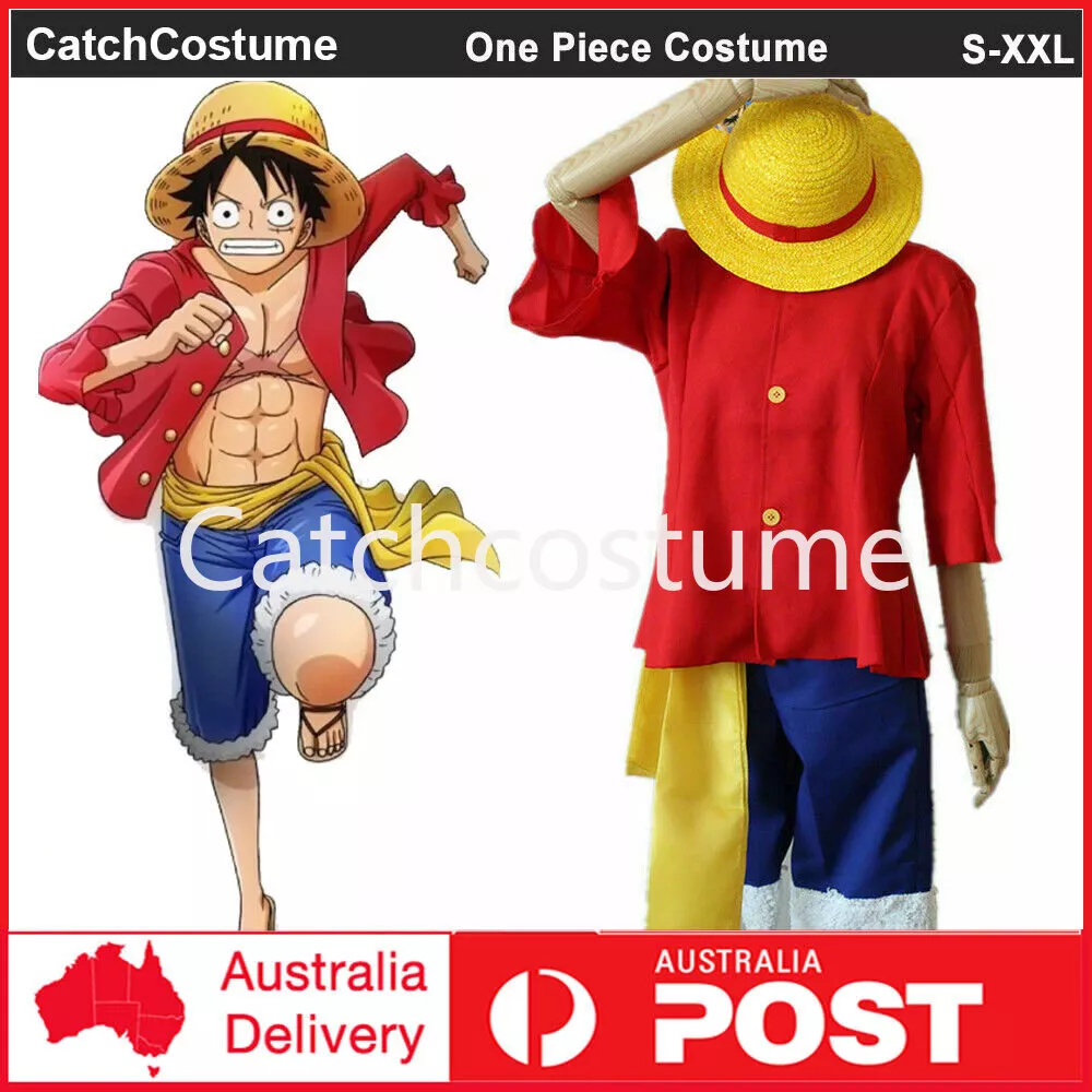 One Piece Monkey D. Luffy 2 Years Later Cosplay