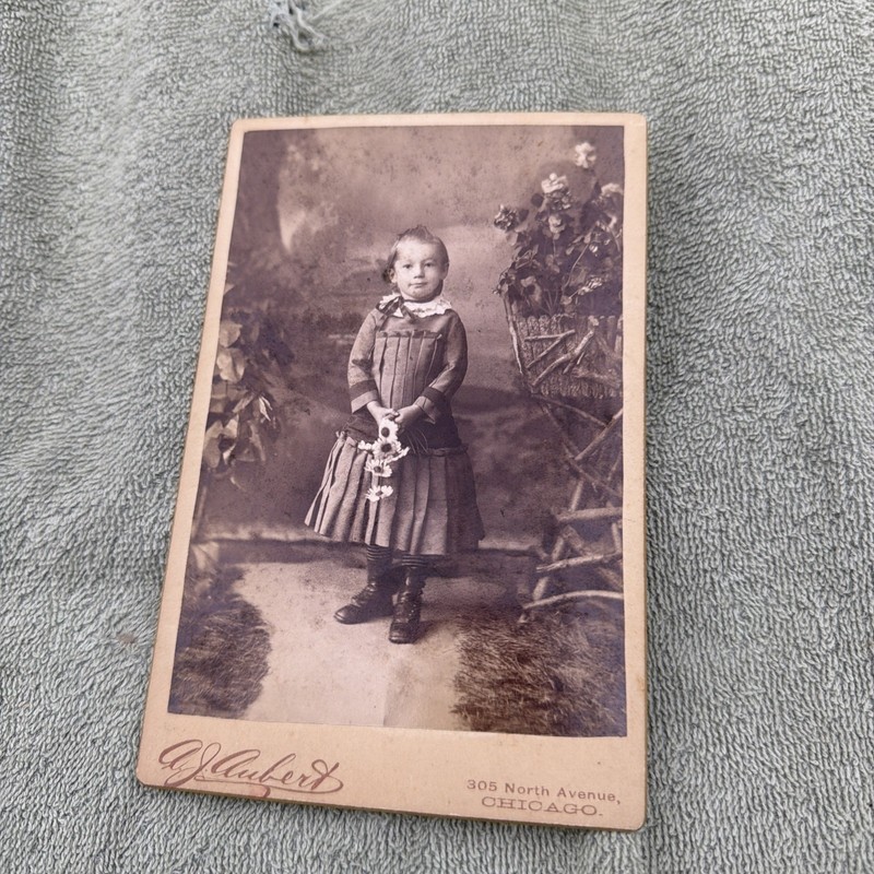 Late 1800's Cabinet Card Pretty Young Girl With Flowers AJ Aubert Chicago 1886