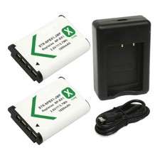Replacement for Sony DCZV-1 Battery 2-Pack, 1600mAh and Dual Charger