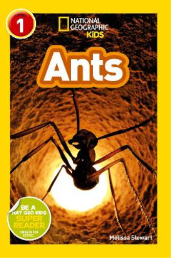 Ants (National Geographic Readers), Stewart, Melissa, Used; Very Good  Book