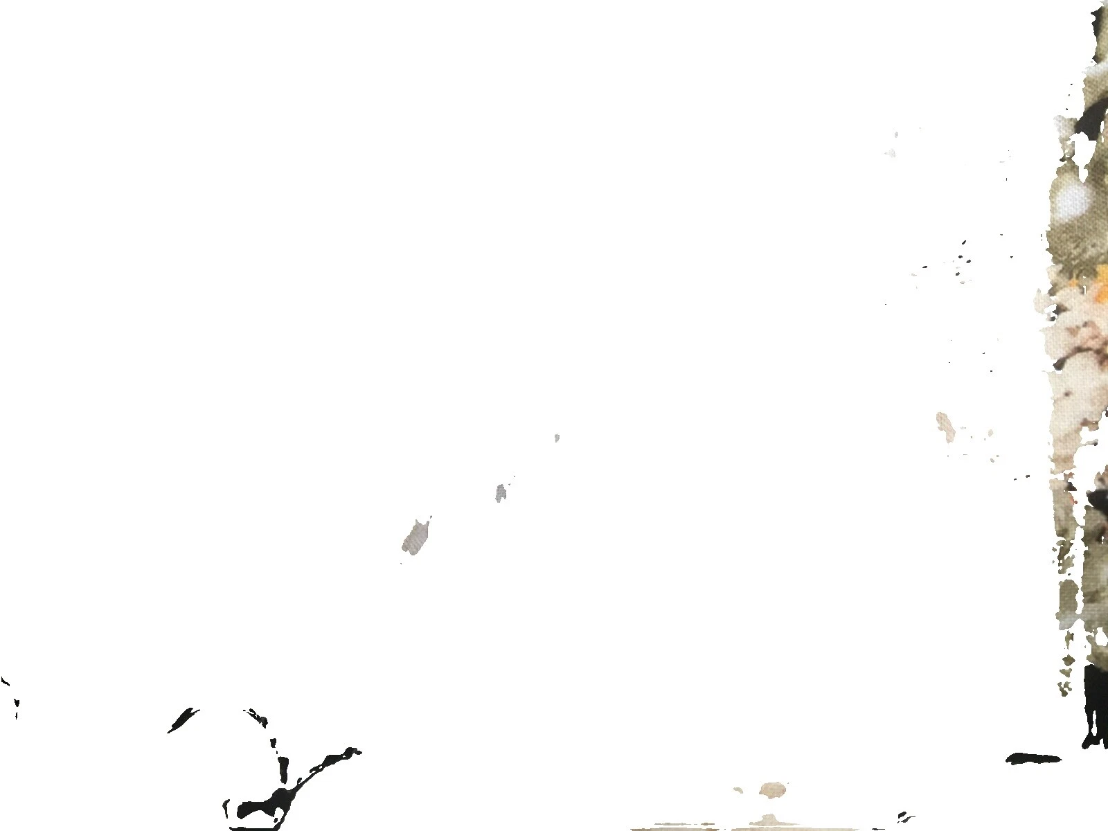 Géneros artesanales de Calavera de algodón