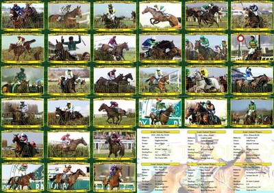 Grand National Winners Series 3 (1996 to 2026) Horse Racing