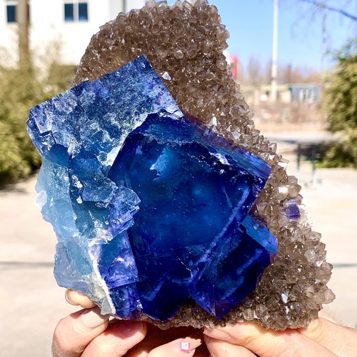 Mineral fluorita cúbica azul transparente natural de Mongolia Interior 2,92 lb - Imagen 19 de 22