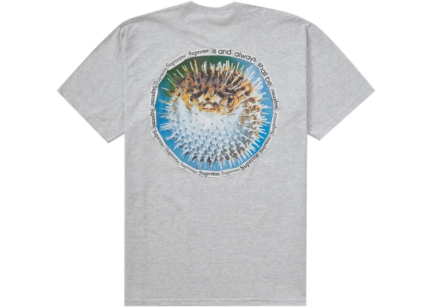 Tee shirt Supreme Blowfish • gris cendres • XXL • SS23 semaine 18 • flambant neuf scellé