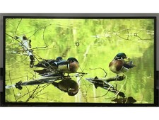 NEC Sharp 50 4K UHD Smart Commercial Digital ...