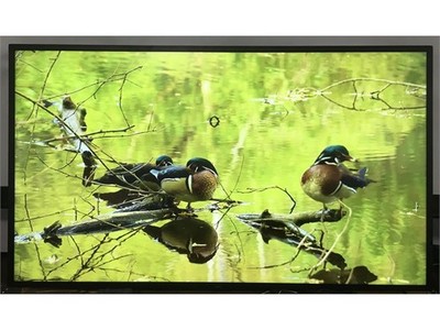 NEC Sharp 50'' 4K UHD Smart Commercial Digital Signage Display TV Monitor M501-2