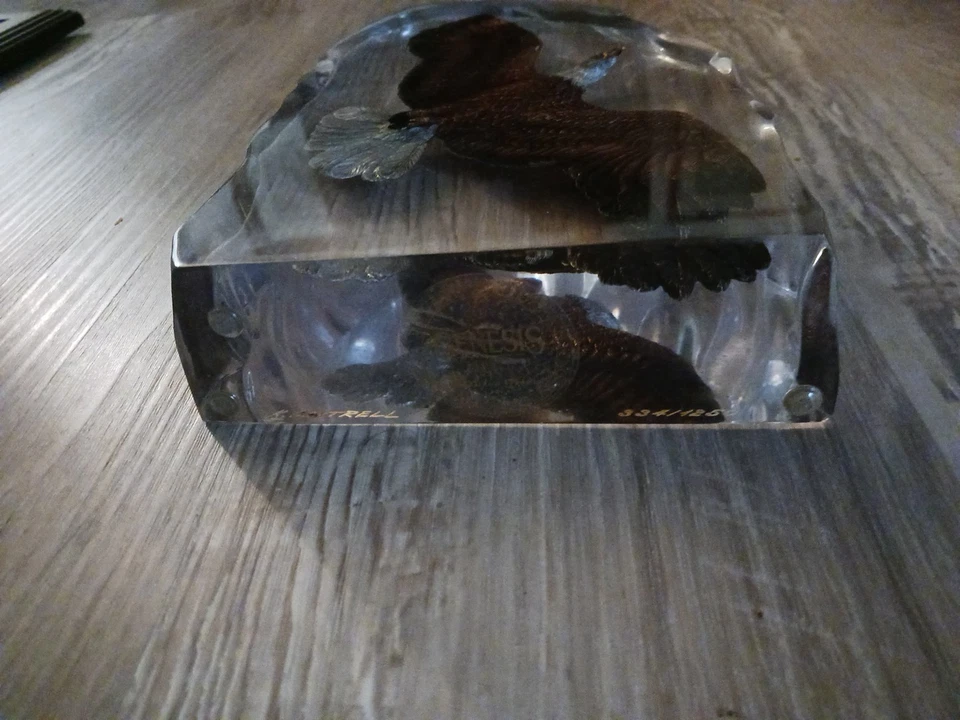 Kitty Cantrell 8.5 By 6 Acrylic Bronze Genesis Eagle Sculpture Signed  - Image 2 of 2