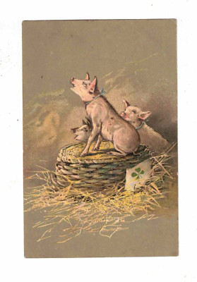 Vintage Postcard c1907 - Pigs, lucky clover. Embossed. No. 5365/5370 P.