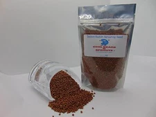 Daikon Radish -"COOL BEANS n SPROUTS" Brand, Radish Daikon Sprouting Seeds. 