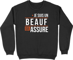 Pull Homme Un Beauf Qui Assure Cadeau Homme Humour Papa Anniversaire Original Ebay
