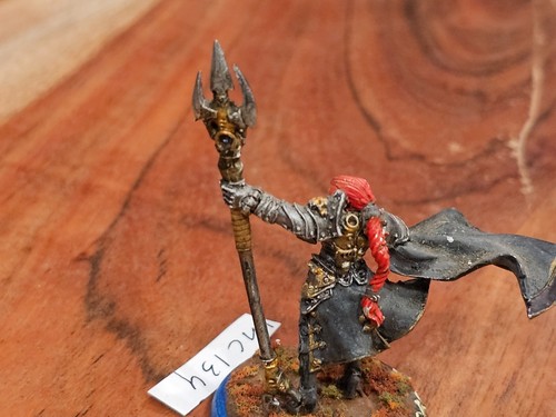 Hordas Warmachine Mercenarios Fiona la Negra METAL Pintado MC134 - Imagen 11 de 18