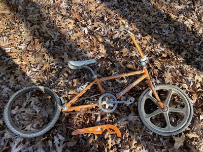 mike dominguez diamondback