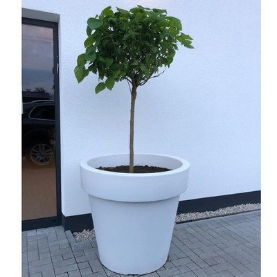 XXL Blumentopf Pflanztopf  60/80/100cm Blumenkbel Pflanzkbel  Blumenkasten | eBay.de