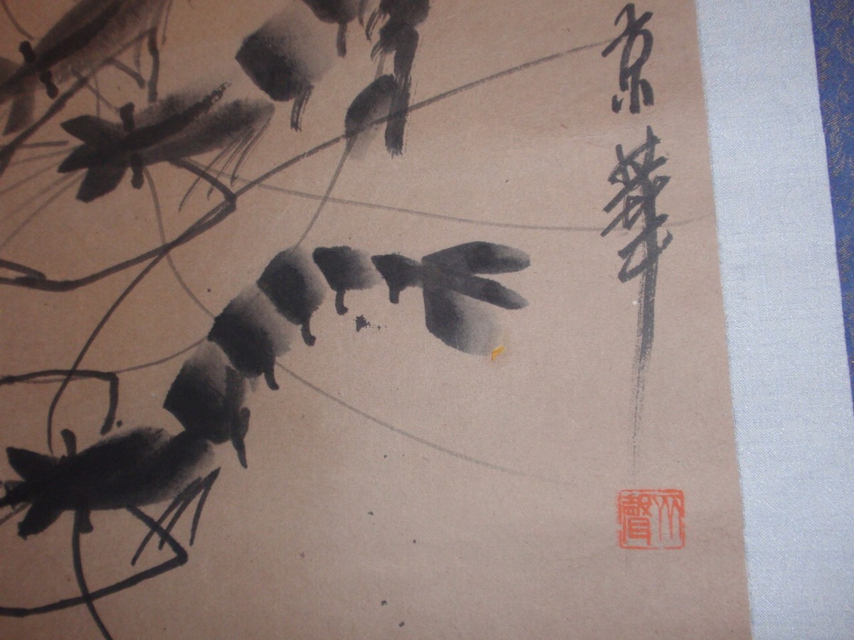 白石 蝦圖5 蝦圖5 白石