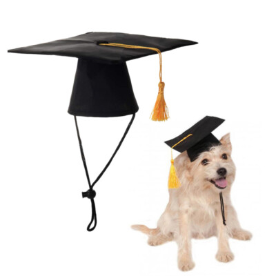 1PC Dog Hat Dog Supplies Dog Headgear Pet Hat Pet Graduation