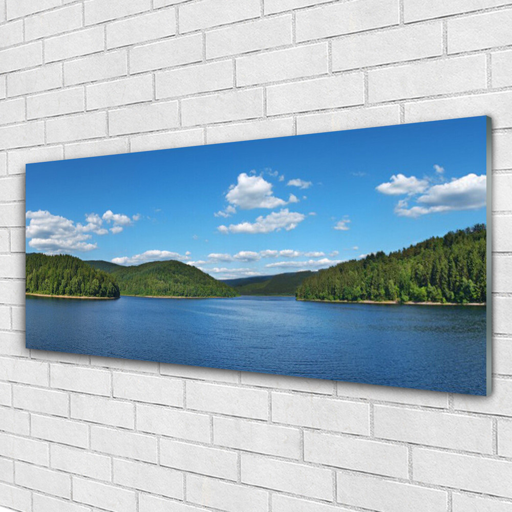 Tableau en verre acrylique paysage de forêt 125x50 cm avec finitions premium