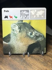 Pudu, 1976 Editions Recontre 4 3/4" x 4 3/4" Card