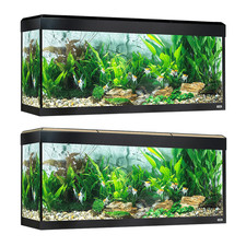 Fluval Roma 240 BT LED Aquarium Black/Oak Fish Tank