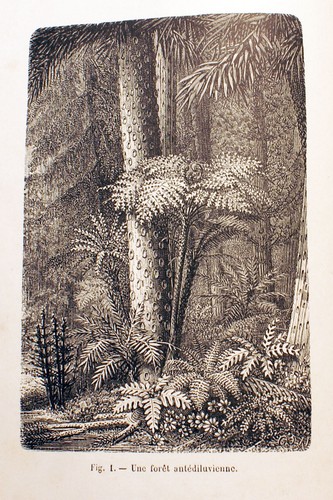 MINES/LA HOUILLE/G.TISSANDIER/BIBL DES MERVEILLES/HACHETTE/1886/EO/GRAVURES - Picture 3 of 3