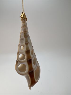 Großer Tibia Real She ll Anhänger 4  Süßwasser Strandschmuck