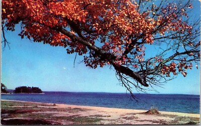 Autumn Shoreline Sebago Lake Maine Me Plastichrome Vintage Fall Postcard
