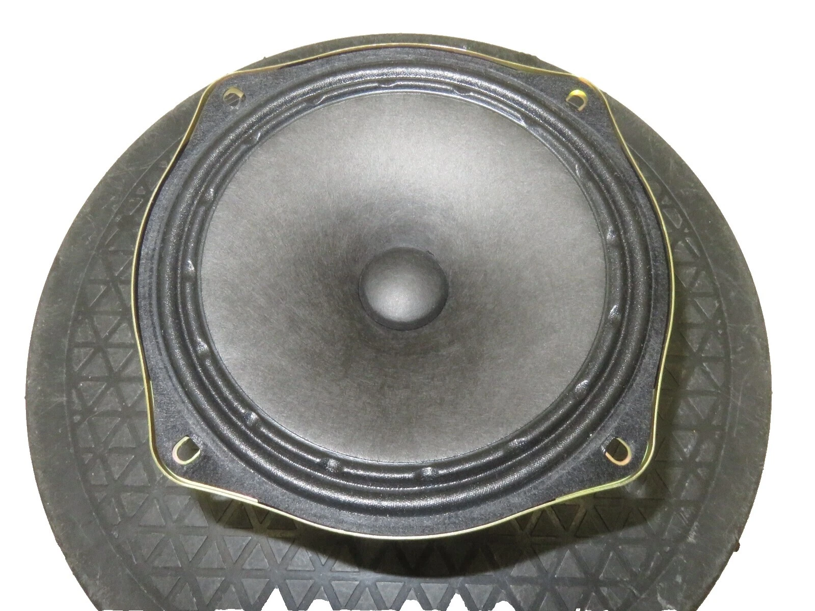 Altavoces De Audio Profesional Fender y monitores