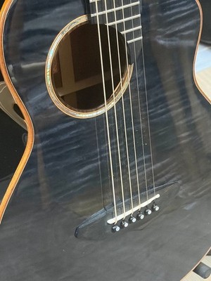 ギター anuenue Bird Guitar Bird M77E Anuenue Bird Guitar M77E No.MG3058 | eBay