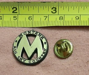 Vintage Montana Big Sky Country Plastic Travel Souvenir Lapel Pin