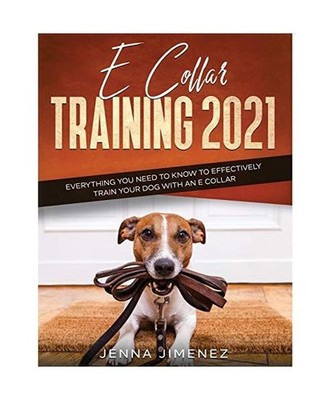 E Collar Training2021: Everything You Need to Know to Effectively Train Your Dog