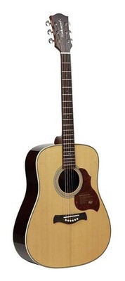 Richwood D-265-VA All Solid Master Series custom shop dreadnought handbuildt