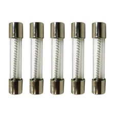 Slow Blow Fuse - 1.5 Amp - MDL, 250V - Set of 5
