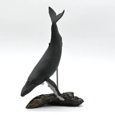 Toy Figure Kaiyodo Japan ARTPLA Aqualand AQM-078W Humpback Whale