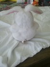 Ann Geddes Baby Bunny Vintage 1997 — photo 4