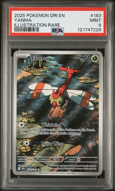 2025 POKEMON DRI EN-DESTINED RIVALS ILLUSTRATION RARE #183 YANMA PSA 9