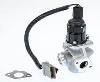 BorgWarner 710936D Agr-Ventil FüR Ford Volvo