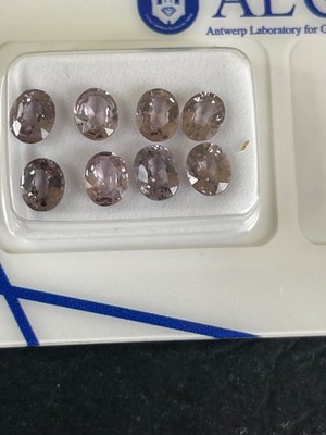 Menge 8 natürliche lila-rosa Spinelle - insgesamt 3,15ct - zertifiziert von ALGT - oval