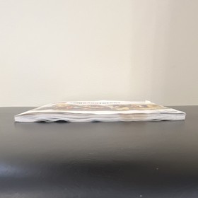 LEGO The Big Bang Theory Set 21302, No Box, Incomplete (See Description)