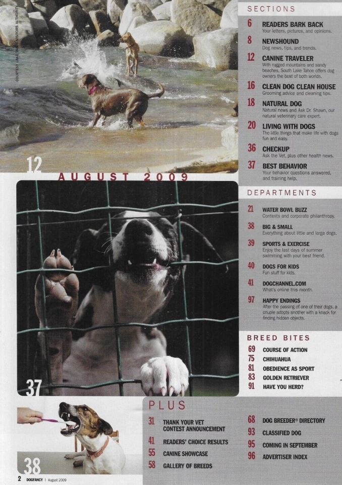 Dog Fancy Magazine Annual Senior Issue Camp Miniature Schnauzer Chinook 2009 Foto 3 de 4