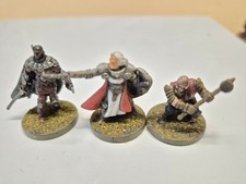 Wizards of the Coast painted 28mm Fantasy wargaming miniatures