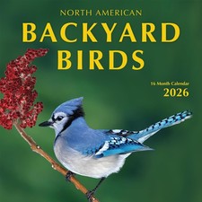 2026 Backyard Birds Wall Calendar - 12-Month Nature Photography, Ideal Gift for