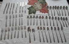 Oneida FERNWOOD Flatware Stainless Steel-55 PC. 1995  