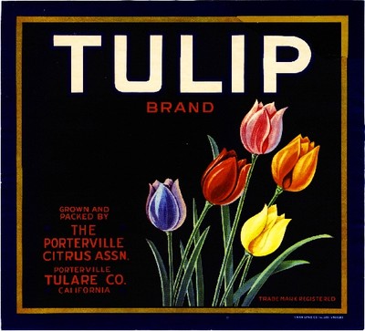 Porterville Tulare County Tulip Flowers Orange Citrus Fruit Crate Label Print