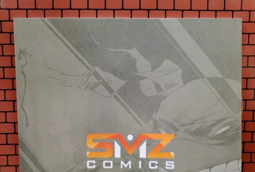 Teenage Mutant Ninja Turtles #1 Nguyen Raphael SIGNED BY Kevin Eastman 🐢 🐢🐢🐢 - Picture 7 of 11