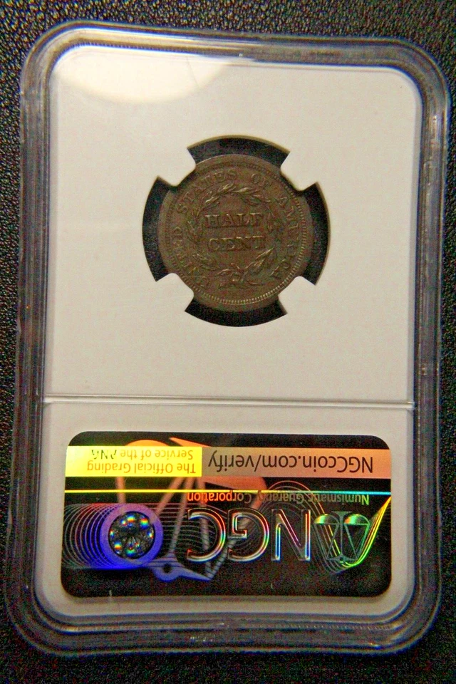 1851 Classic Head Half Cent, NGC AU-55, C-1 - Image 4 of 4
