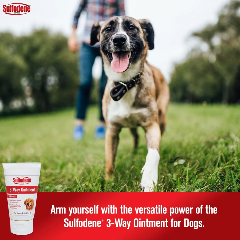 Dog Wound Care 3-Way Ointment Relieves Pain & Prevents Infection For Dog Cuts... - Image 2 of 4