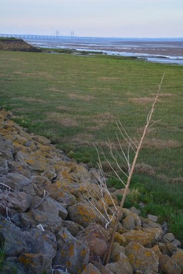 Photo 6x4 Newport District : Severn Estuary Summerleaze Looking out acros c2017