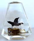 Vintage Hand Carved Painted 2 Geese in Lucite/Acrylic Unique Canada Paperweight — photo 3