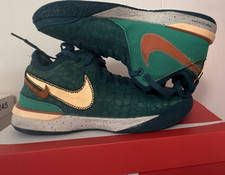 Lebron nxxt gen geode
