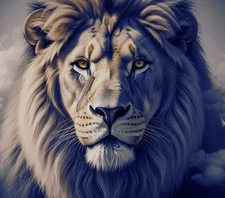 Digital Image Wallpaper Photo Background Beautiful lion