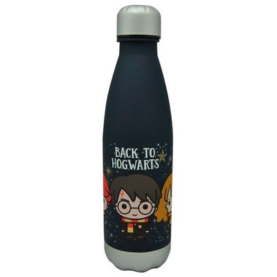 Harry Potter Zurück nach Hogwarts Flasche 650 ml Warner Bros. Discovery